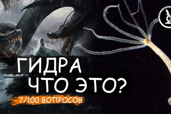 Kraken рабочий